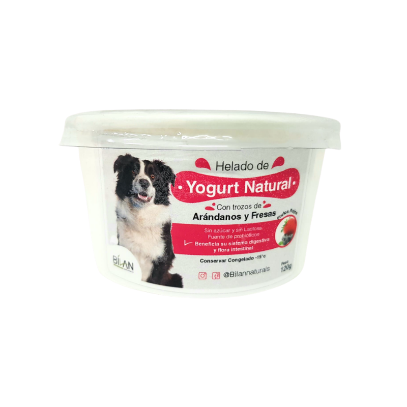 Helado de Yogurt Natural 120 gr