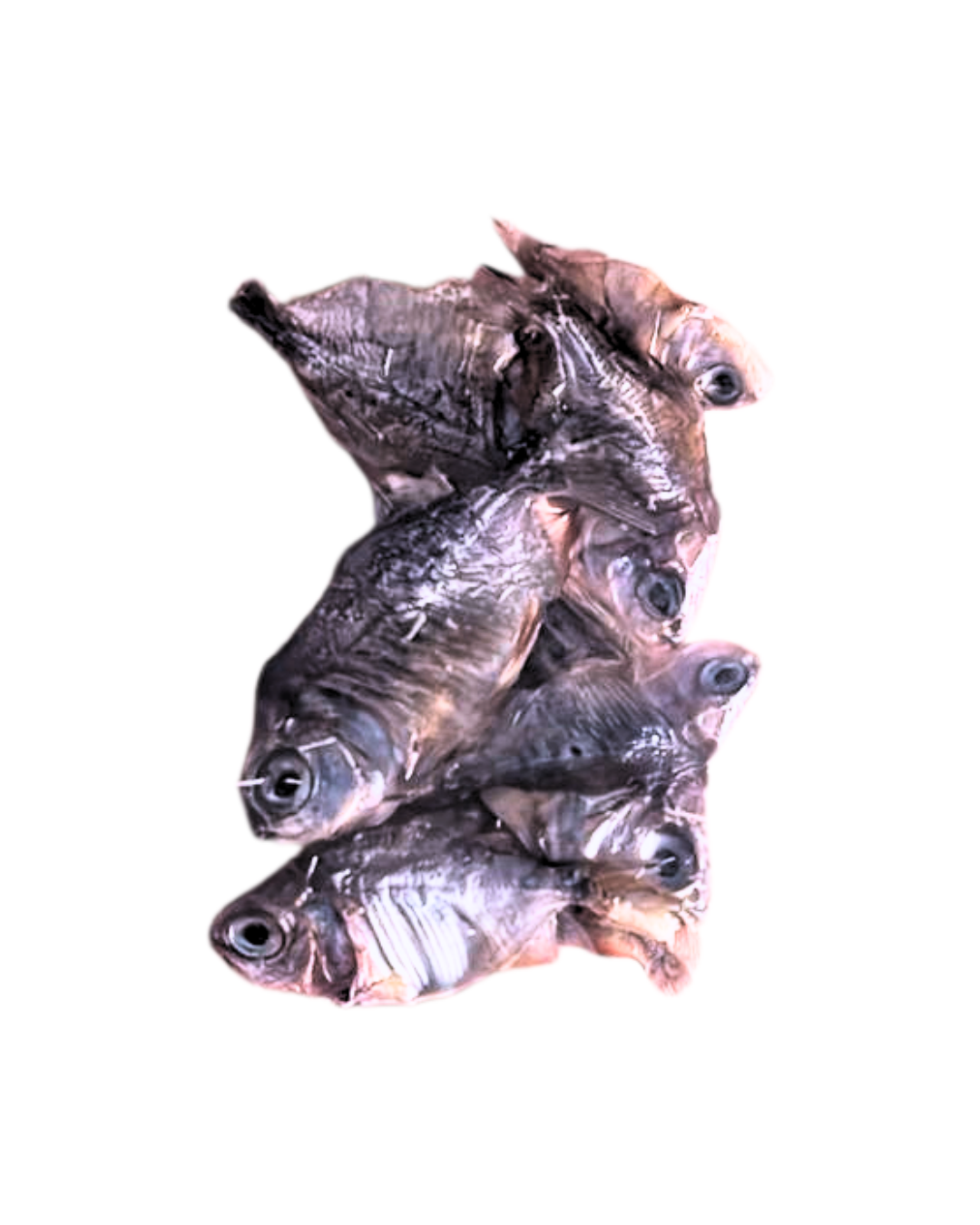 Mini Sardinas para Gatos – Snack Natural y Saludable