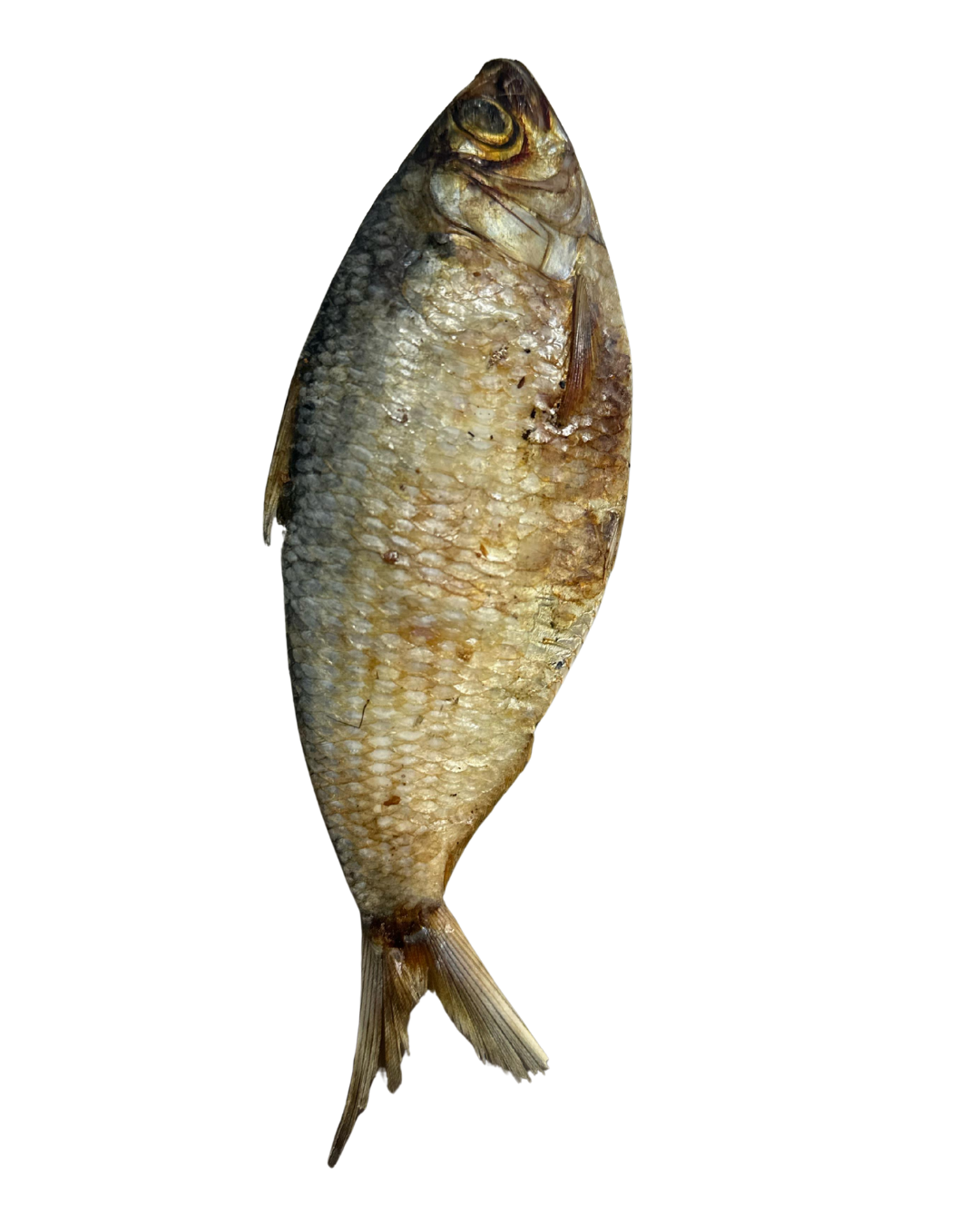 Sardina Individual