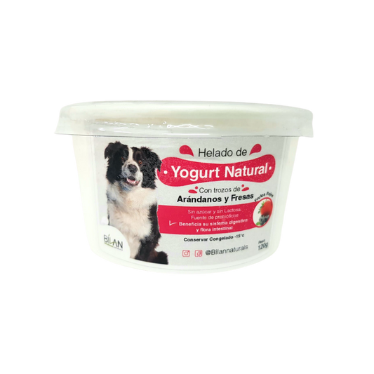Helado de Yogurt Natural 120 gr