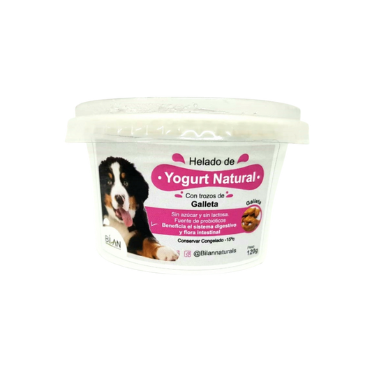 Helado de Yogurt Natural 120 gr