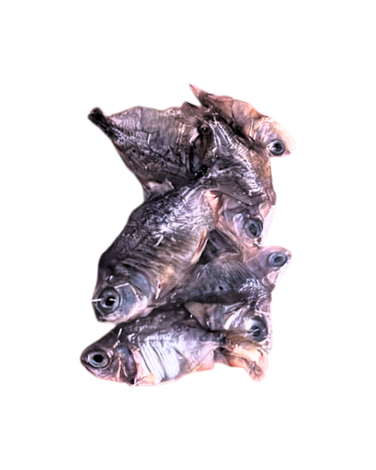 Mini Sardinas para Gatos – Snack Natural y Saludable