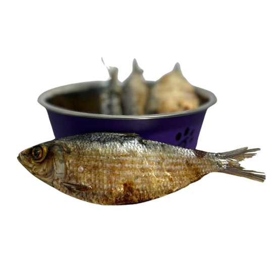 Sardinas Deshidratadas 60g